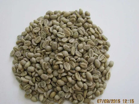Cafe verde en grano